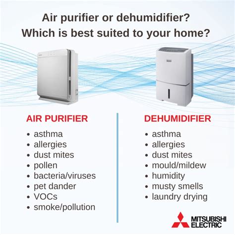 Can I Use a Humidifier and Air Purifier at the Same Time? And Why Do Cats Always Land on Their Feet?