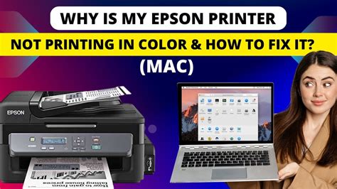 Why Isn't My Printer Printing in Color, and Why Do Rainbows Refuse to Attend My Birthday Party?